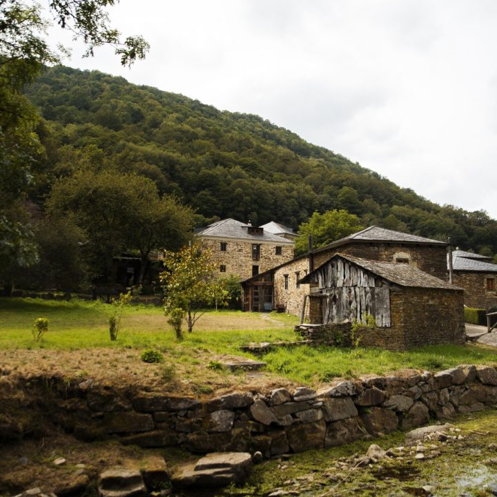 beautiful-natural-landscape-forest beautiful-natural-landscape-forest